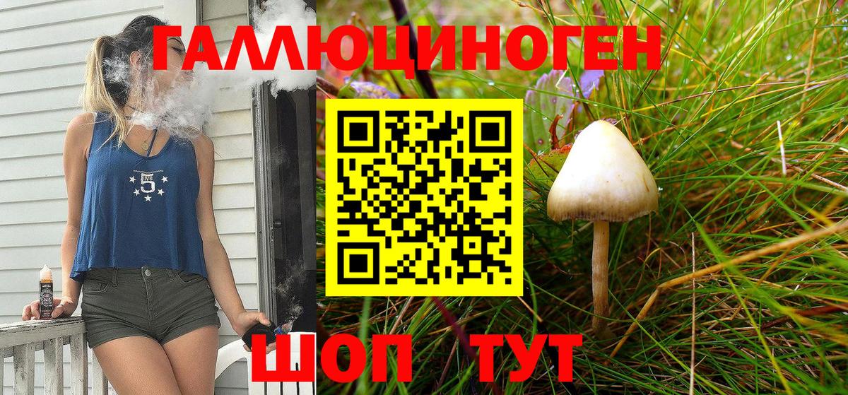 Галлюциногенные грибы Psilocybe  Вход с VPN  продажа наркотиков  Псилоцибиновые грибы Cubensis  Вышний Волочёк 